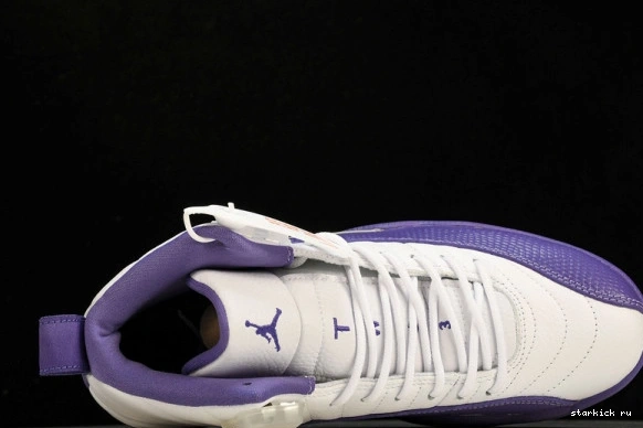 CT8013-150 Retro CT8013-150 12 Purple Jordan 0217